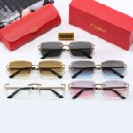 Sunglasses Cartier CTR007 - Image 12