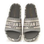 Christian Dior Sandal Gray DO093