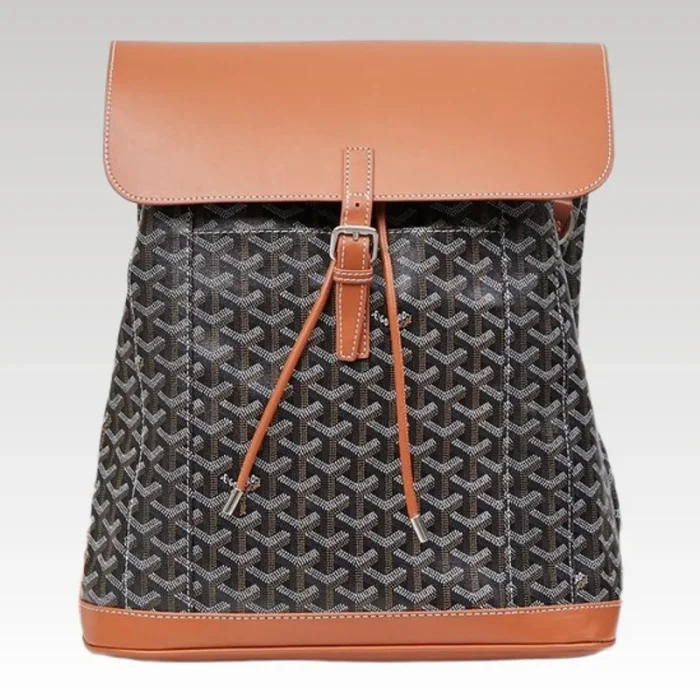 Goyard Alpin MM Backpack Brown Bag GYD009 - Drip Slum
