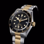 Tudor Black Bay S&G TD006 - Image 3