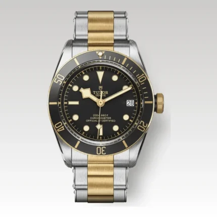 Tudor Black Bay S&G TD006 - Drip Slum
